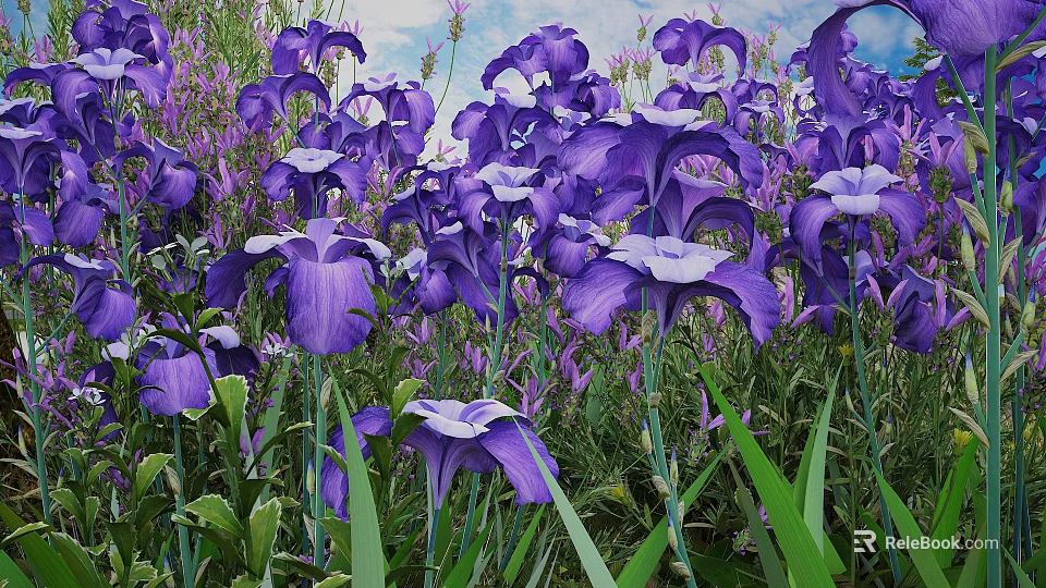 Stunning Purple Iris Flowers Blooming Vibrantly In Lush Green Grass Garden 3d model 