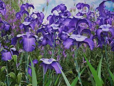 Stunning Purple Iris Flowers Blooming Vibrantly In Lush Green Grass Garden 3d model