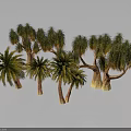 Various Palm Trees With Green Leaves And Brown Trunks In Different Sizes 3d model