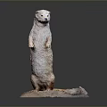 Realistic Weasel Statue Standing on Natural Stone Base with Detailed Fur Texture