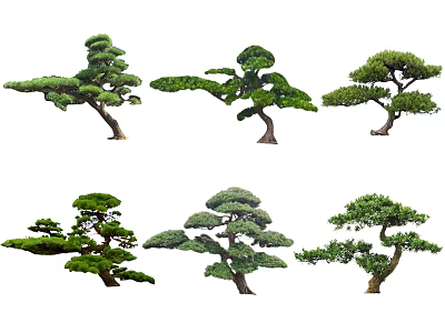 Various Pine Tree Plant Combination Featuring Different Shapes And Lush Green Foliage 3d model