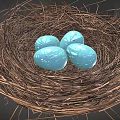 Natural Twig Nest With Four Blue Speckled Eggs On Dark Surface
