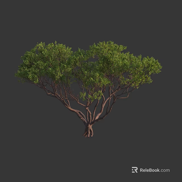 Lush Green Arbor With Dense Branches And Vibrant Foliage In Natural Form 3d model 