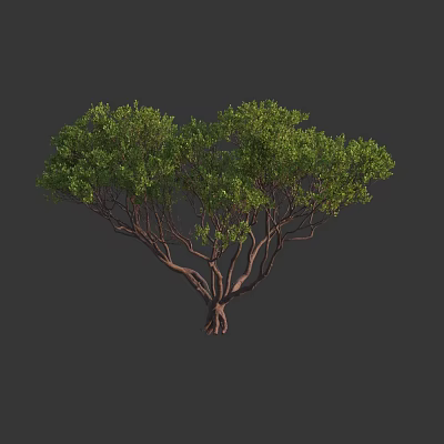 Lush Green Arbor With Dense Branches And Vibrant Foliage In Natural Form 3d model