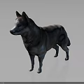 Realistic 3D Standing Dog Model With Blue Gray Fur On Shiny Gray Surface 3d model