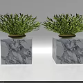 Bonsai Potted Plants With Green Leaves On Marble Cube Bases And Brown Pots