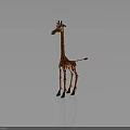 3D Giraffe Character With Brown Spots Long Neck Standing On Gray Background 3d model