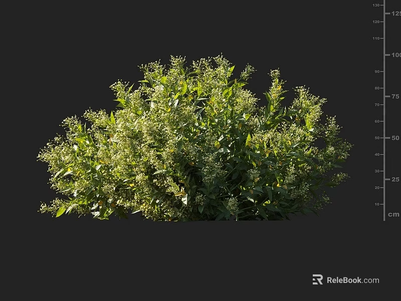 Lush Green Shrub with Dense Foliage and Healthy Branches in Natural Growth 3d model 