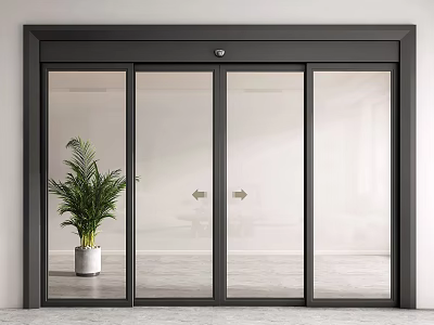 Modern Black Frame Glass Sliding Doors With Green Plant In Interior Space 3d model