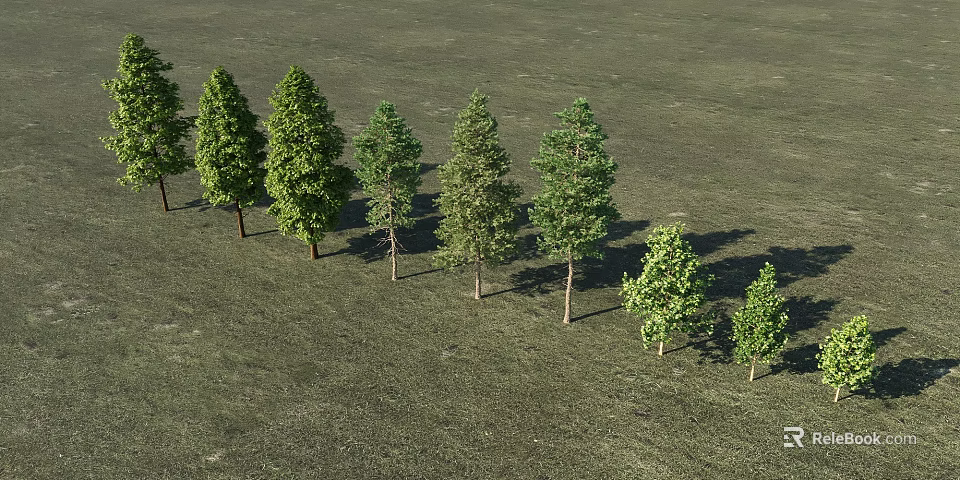 Lush Green Arbors Arranged On Grassland With Various Sizes And Fresh Foliage 3d model 