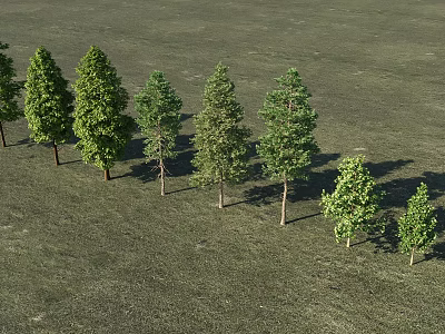 Lush Green Arbors Arranged On Grassland With Various Sizes And Fresh Foliage 3d model