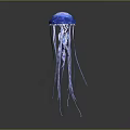 Graceful Blue Jellyfish With Transparent Long Tentacles Floating In Dark Background 3d model