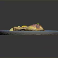 Roasted Chicken Leg with Golden Potato Chunks on Blue Plate with Herb Garnish