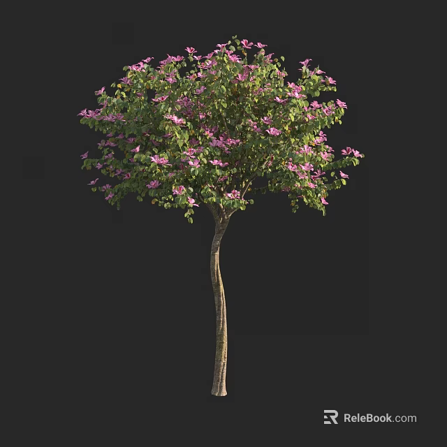 Beautiful Arbor Featuring Green Leaves And Pink Blossoms On Slender Trunk 3d model 