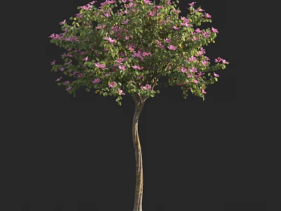 Beautiful Arbor Featuring Green Leaves And Pink Blossoms On Slender Trunk 3d model