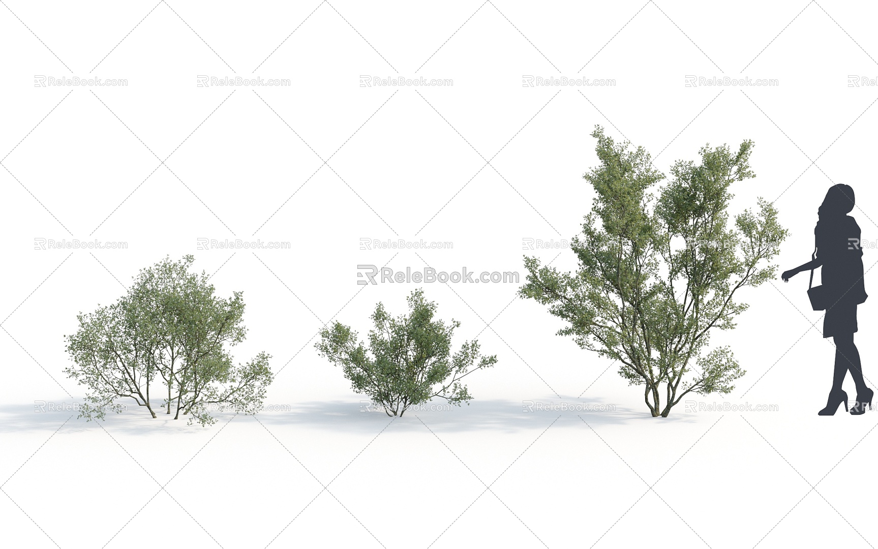 Modern Shrub Shrub Plant 3d model