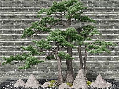 Artistic Garden Ornament Featuring Bonsai Pine Tree Rocks And Moss Against Brick Wall 3d model
