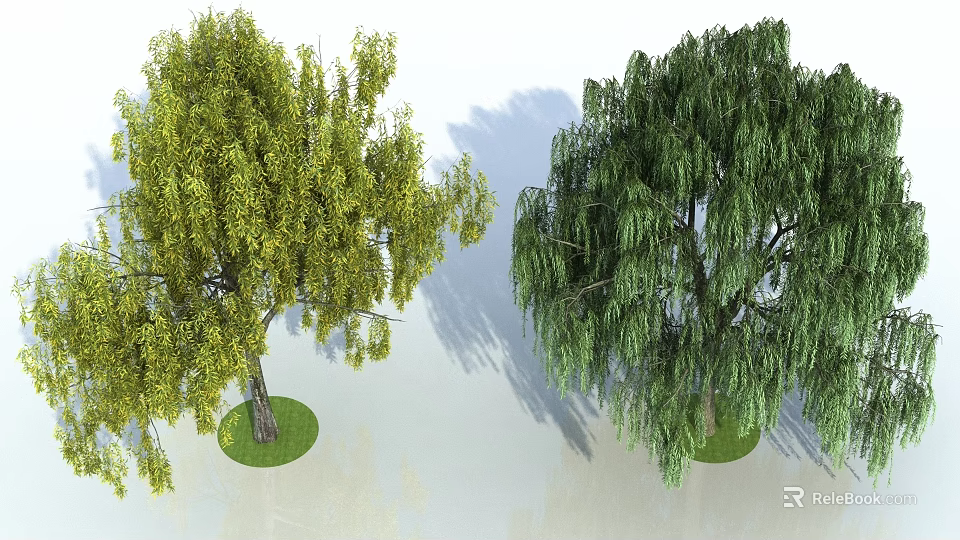 Two Tall Trees with Yellow and Green Foliage and Weeping Branches 3d model 