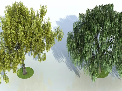 Two Tall Trees with Yellow and Green Foliage and Weeping Branches 3d model