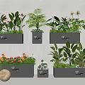 Indoor Plant Combination With Various Green Plants Flowering Plants In Black Rectangular Pots 3d model