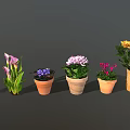 Colorful Garden Decor With Various Potted Flowers And Ceramic Woven Planters