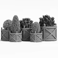 Potted Bonsai Plants In Various Colored Planters With Cross Stripe Design And Silver Ball Decorations