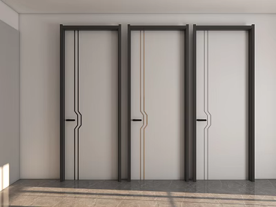 Modern Hinged Doors With White Panels Black Gold Lines And Black Frames In Interior 3d model