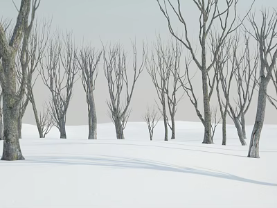 Modern tree winter branches 3d model Modern tree winter branches 3d model