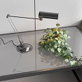Metal Table Lamp Glass Table Potted Plant 3d model