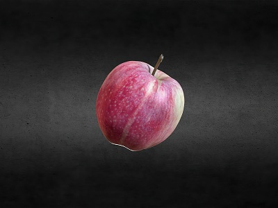 fruit apple model