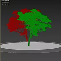 Lush Tree On Circular Lawn With Paved Path 3d model