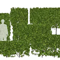 Green Shrub Hedges With Various Shapes For Outdoor Garden Landscape Design