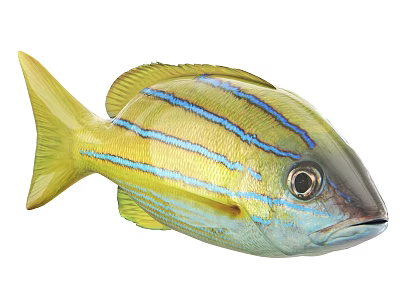 Vibrant Aquatic Fish With Yellow Body And Blue Stripes And Large Eyes 3d model