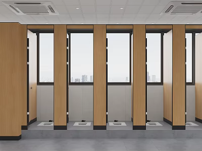 Modern Public Toilet With Multiple Stalls Wooden Doors Windows And Squat Toilets Design 3d model