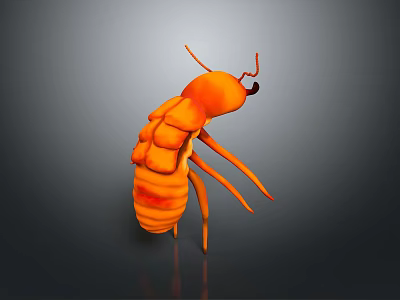 Orange Insect 3D Model With Segmented Body Antennae And Shiny Legs On Dark Background 3d model