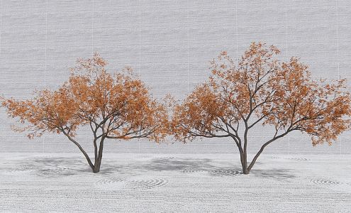 Modern Tree Landscape Tree Red Maple Arbor Garden Tree 3d model