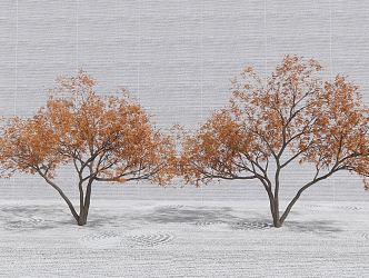 Modern Tree Landscape Tree Red Maple Arbor Garden Tree 3d model