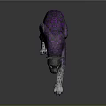 Stylish Purple Patterned Leopard In Dynamic Jumping Pose Against Dark Background
