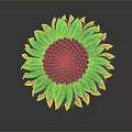 Gray Sunflower 3D Model With Detailed Petals And Central Seed Pattern On Dark Background