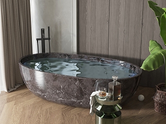 Modern Bathtub 3d model