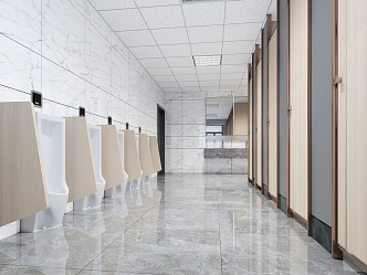 Public toilet Modern toilet 3d model