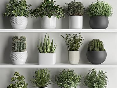 Modern potted plant green plant potted plant combination succulent plant potted plant fleshy potted plant indoor green plant flower potted plant pile green plant combination model