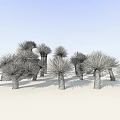Various Trees With Green Foliage Different Trunk Shapes and Shadows 3d model