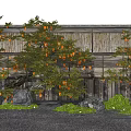 Arbor Trees Bearing Orange Fruits By Wooden Wall With Stones Green Grass And Gravel