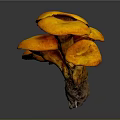 Modern mushroom straw mushroom poisonous mushroom plant 3d model