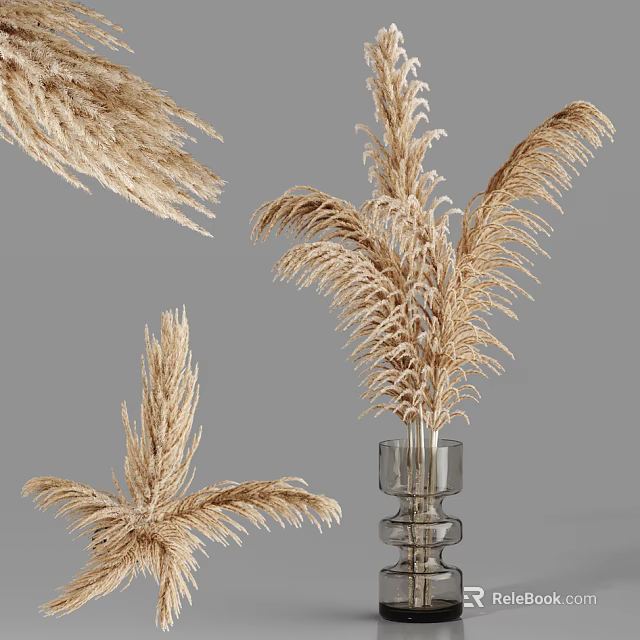 Decorative Dried Pampas Grass Arrangement in Transparent Glass Vase with Gray Background 3d model 