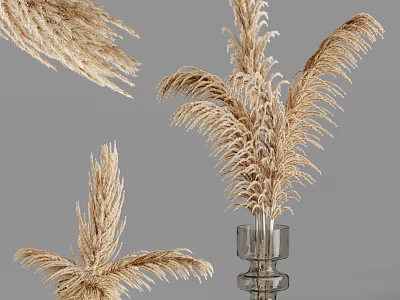 Decorative Dried Pampas Grass Arrangement in Transparent Glass Vase with Gray Background 3d model