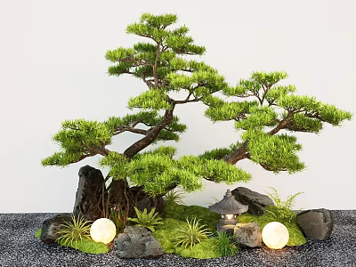 Bonsai Pine Arbor with Rocks Moss Small Lantern and Glowing Spheres 3d model
