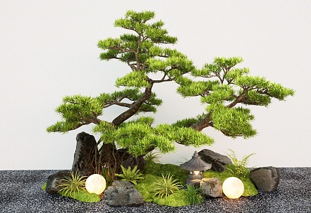 New Chinese-style Courtyard Landscape Setches Pine Tree Landscape Pine Tree Stone Micro-terrain 3d model