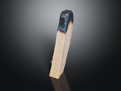 Wood Stone Piece with Burnt End and Natural Grain on Dark Reflective Background 3d model